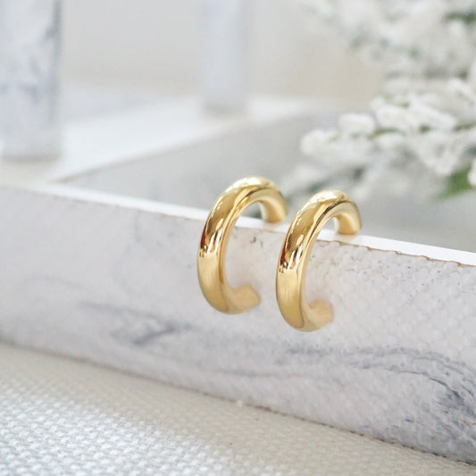 Gold Hoop Earrings