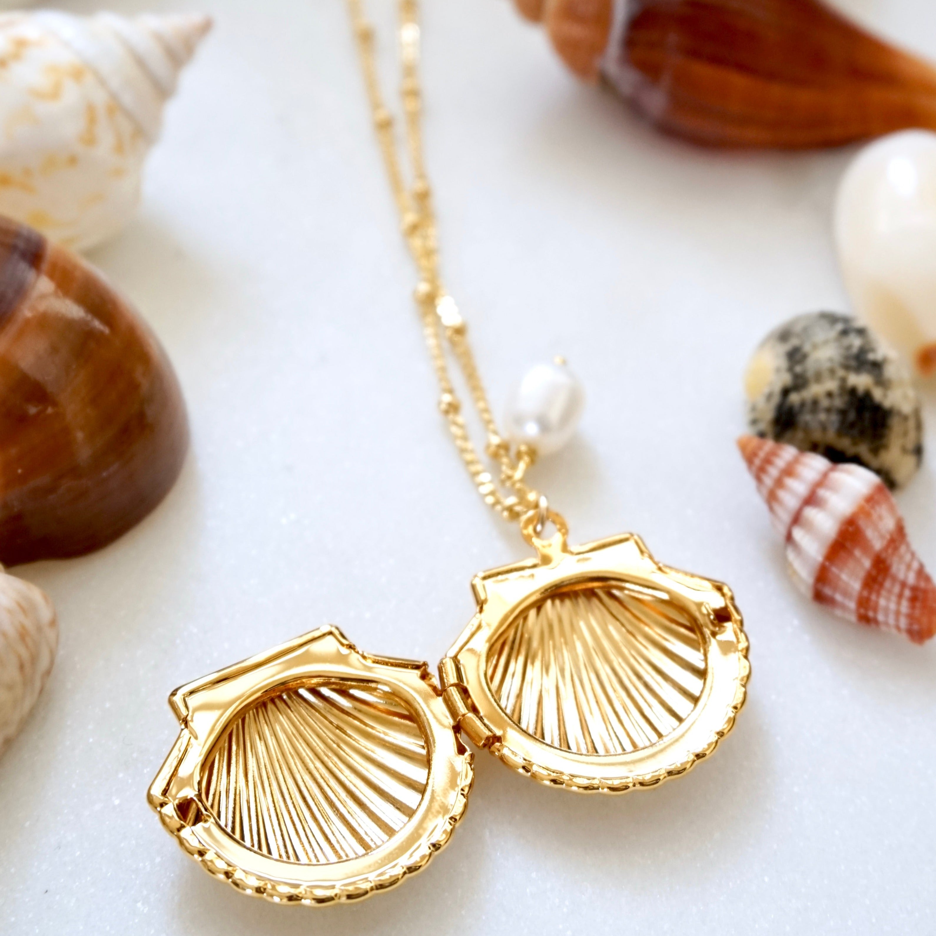 Gold Clam Shell Locket Necklace – YSM Designs